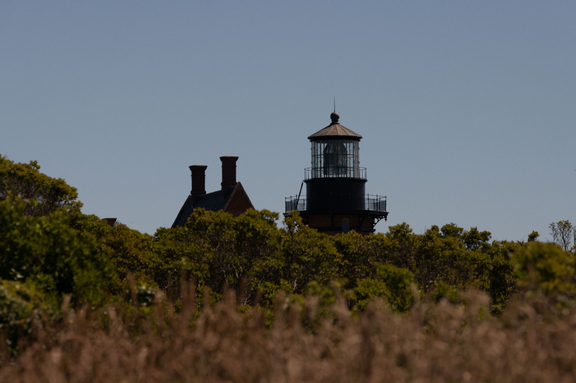 DSC 3669 42